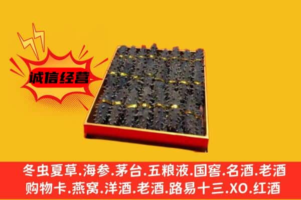 固原市回收海参